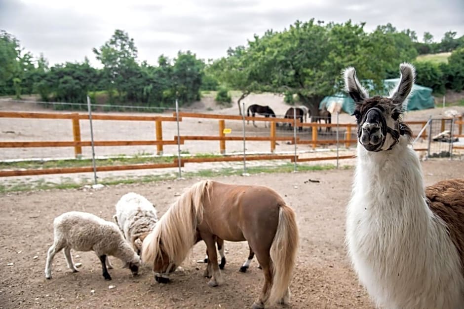 Cozy wood hut on the farm