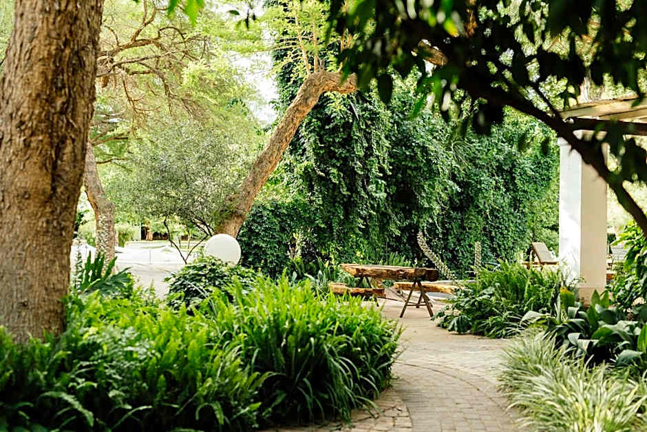 Upington African Vineyard Boutique Hotel & SPA