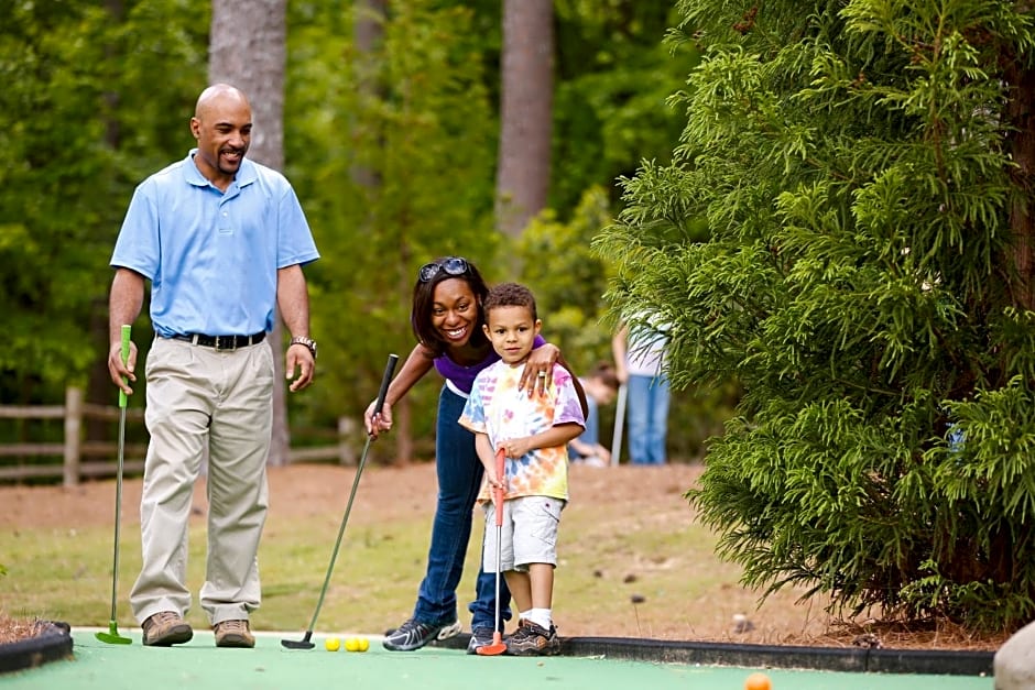 The Inn at Stone Mountain Park