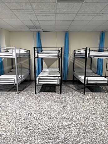 Bed in 10-Bed Mixed Dormitory Room