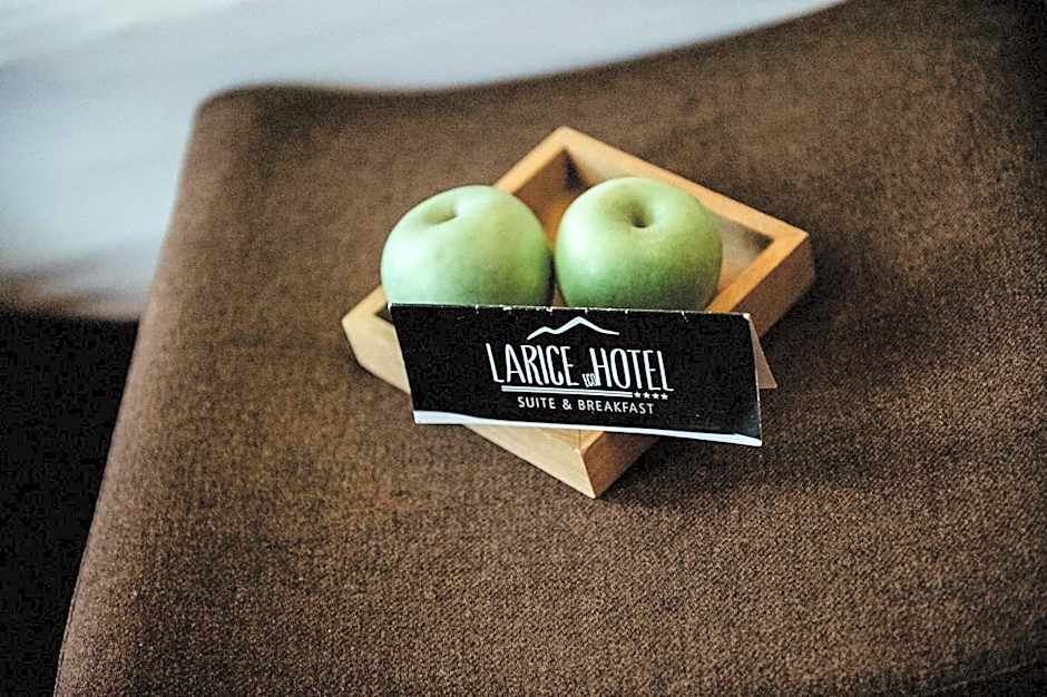 Hotel Larice