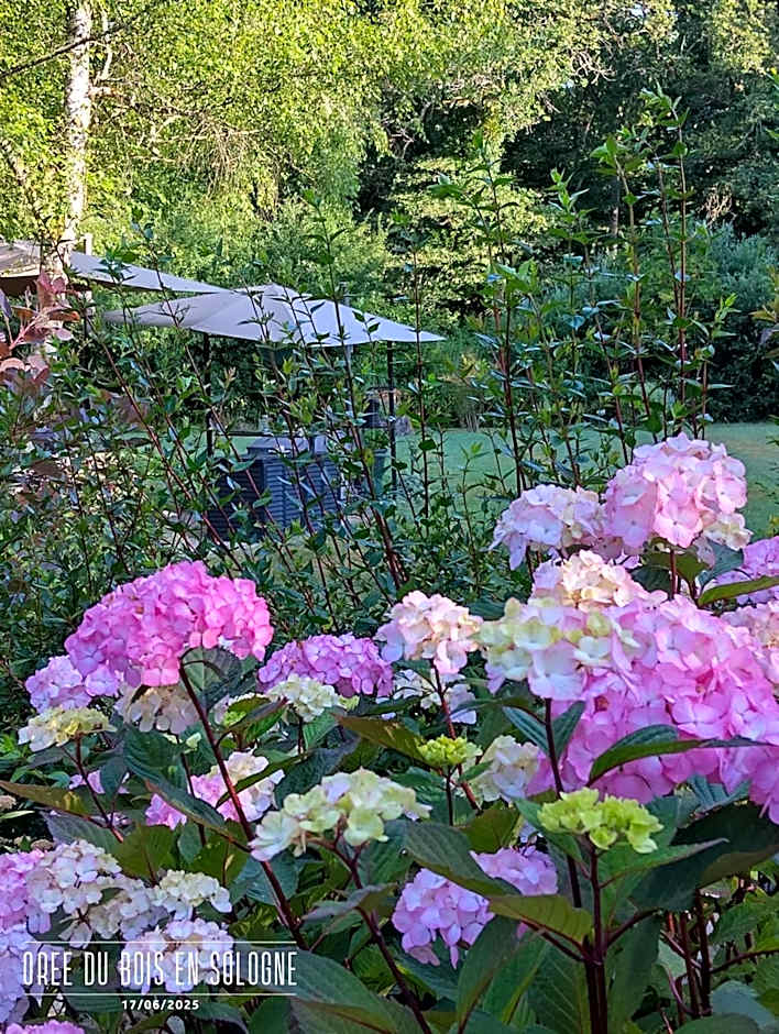 Chambres entre Romorantin-Chambord-Zoo de Beauval - Orée du Bois en Sologne