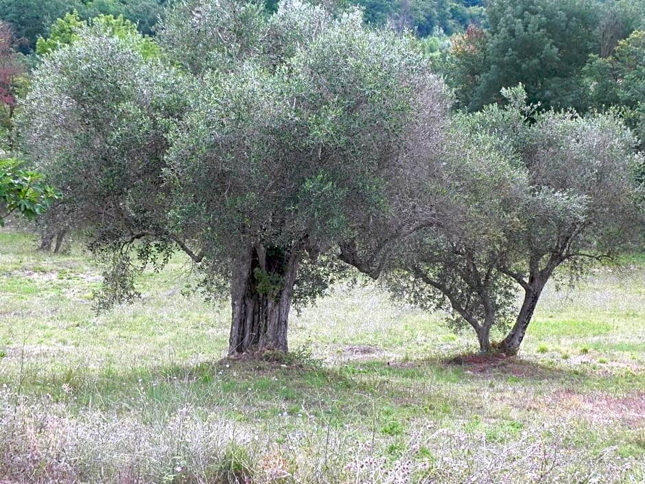 B&B Il Rifugio di Nino
