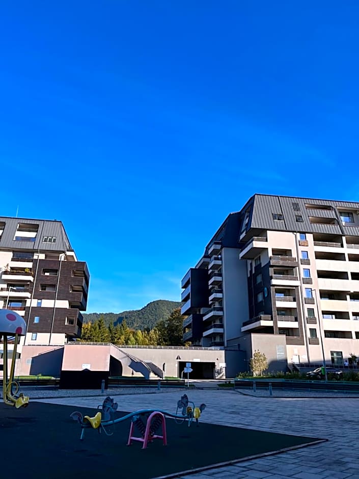 Mountain Nest in Silver Mountain Poiana Brasov
