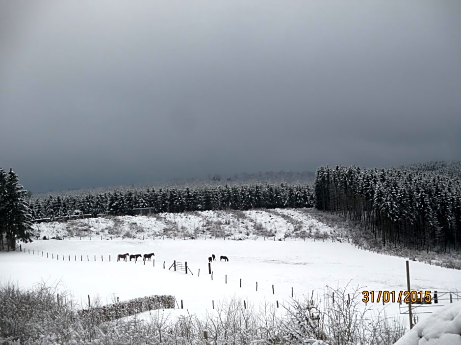 B&B Au fil des saisons sur la Wiels
