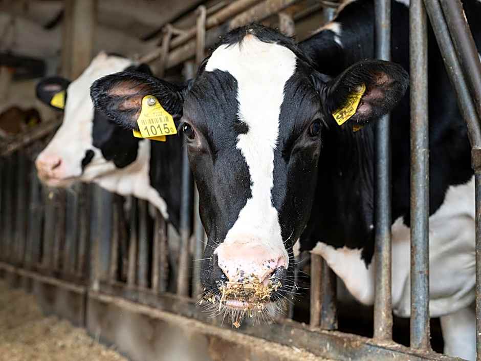 Herberg de Brabantse Kluis