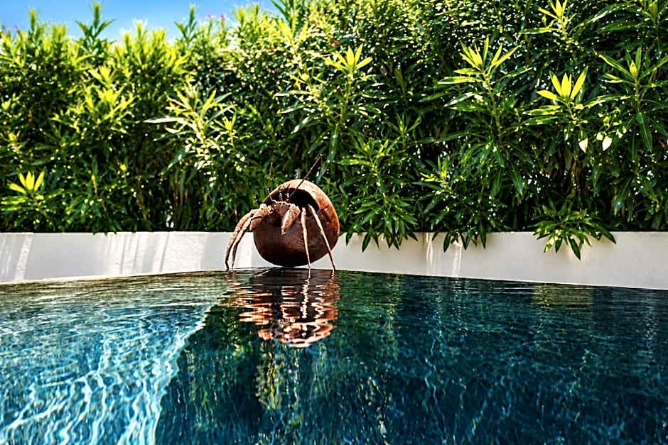 VILLA MIAMI