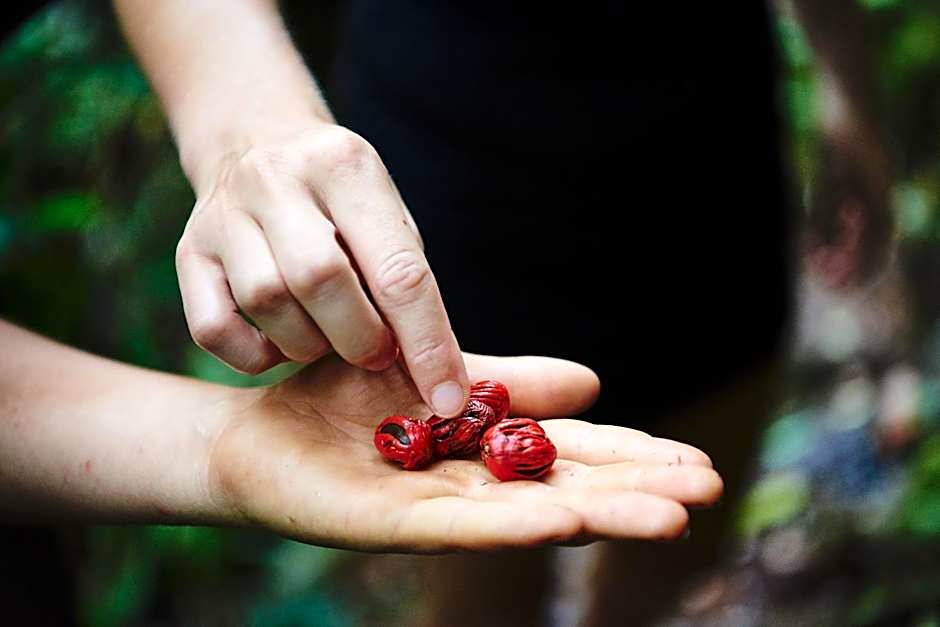 Daintree Eco Lodge & Spa