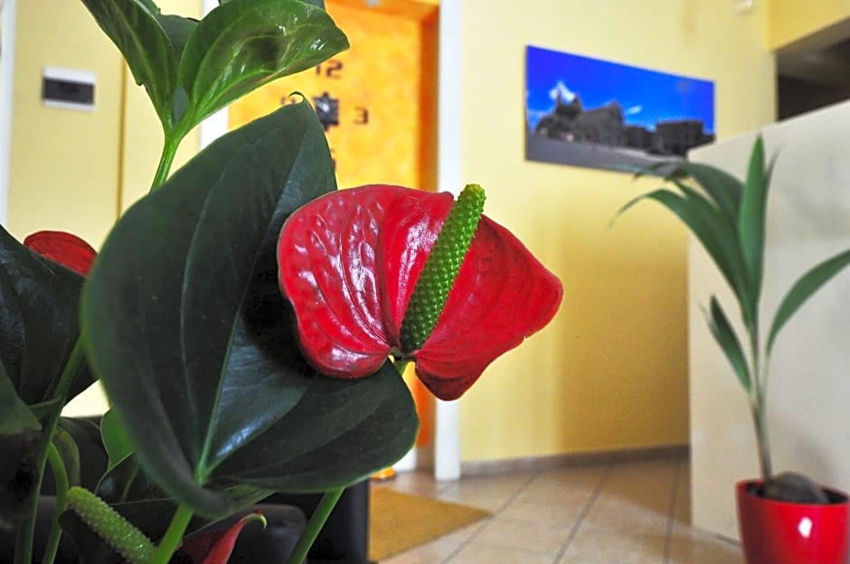 B&B Da Rì
