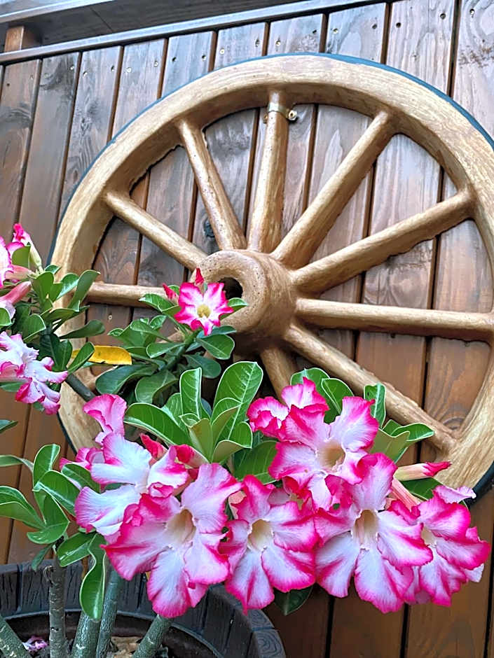 Pousada Vila do Cowboy