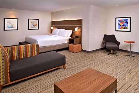 King Suite with Sofa Bed
