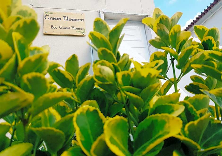 Green Element Guesthouse