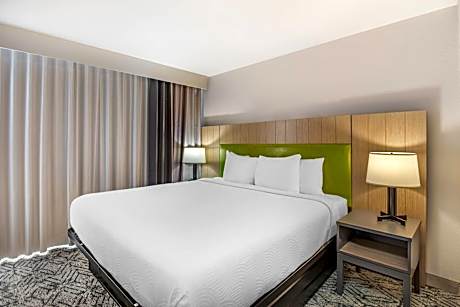 One-Bedroom King Suite - Non-Smoking
