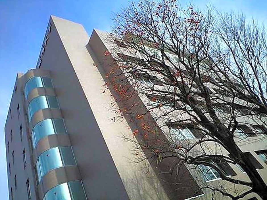 Hotel Livemax BUDGET Sagamihara
