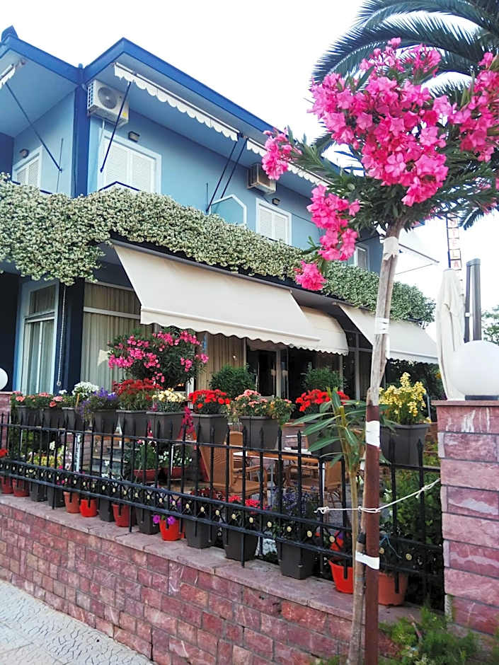 Hotel Akti
