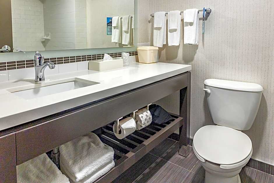 Holiday Inn Hotel & Suites St.Catharines-Niagara by IHG