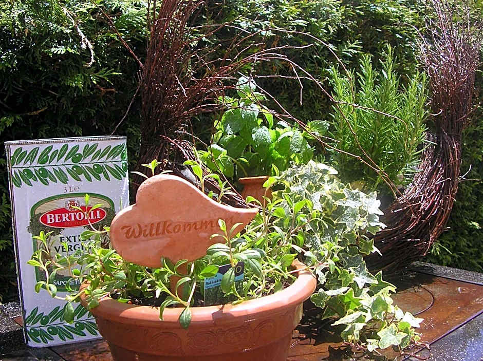 Arthotel Ana Panorama