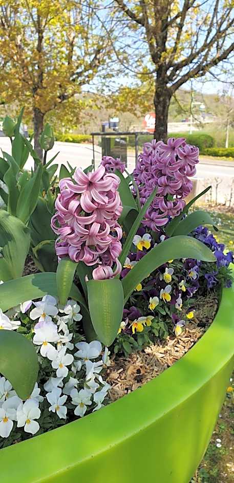 Hotel Campanile Besançon Nord Ecole Valentin