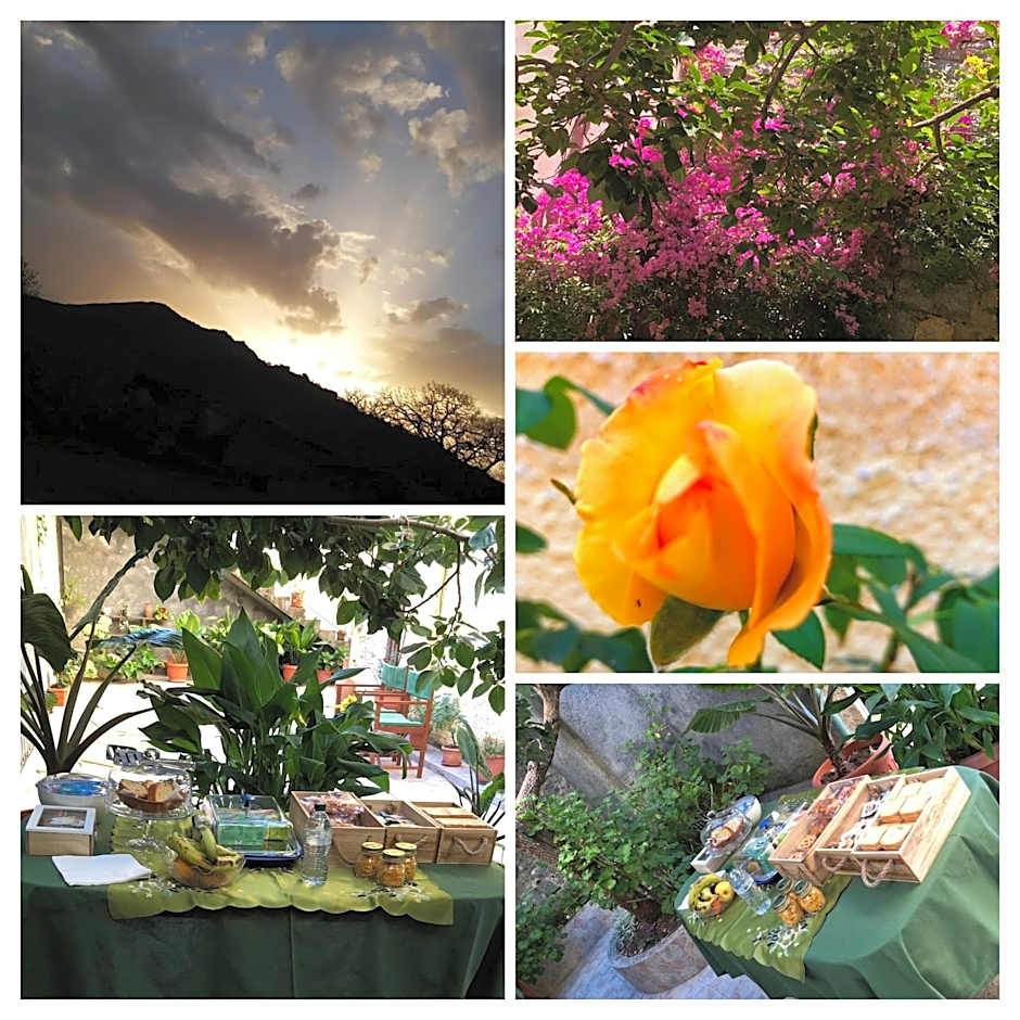 La Collina dei Ciliegi