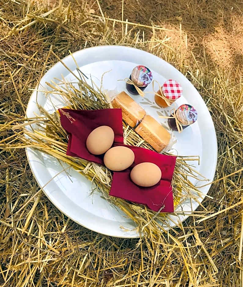 A CASA NOSCIA - BB SAN PIETRO IN BEVAGNA Charming house