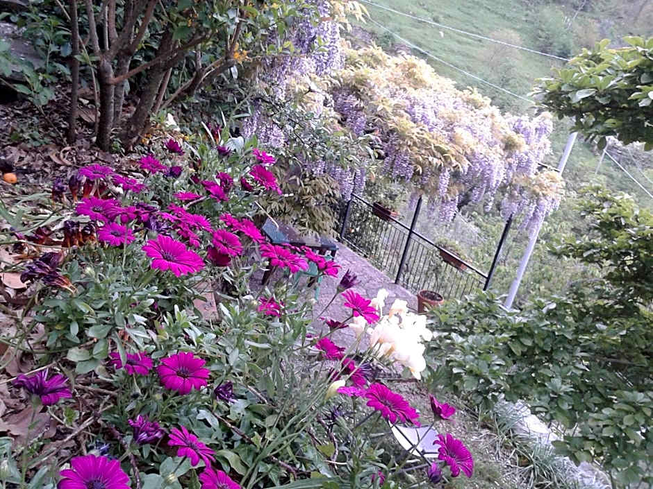 B&B I Glicini