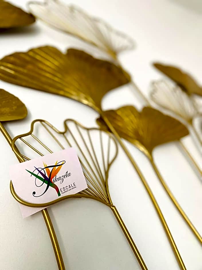 Tikazéla - Escale Tournon-Sur-Rhône