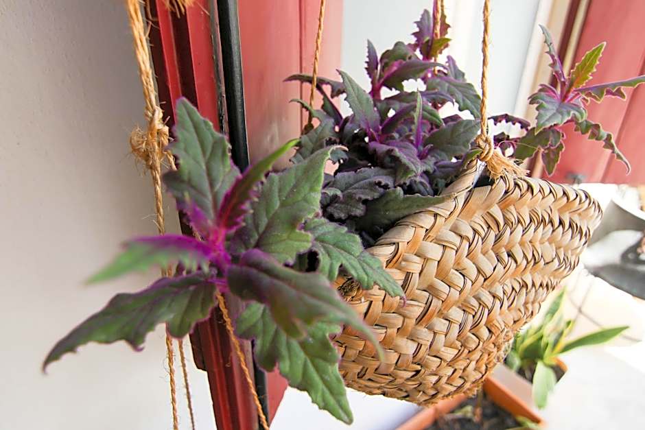 Gul Hanim House Boutique Hotel