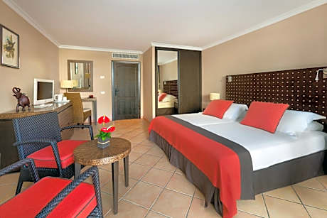 Double Room with View for Single Use