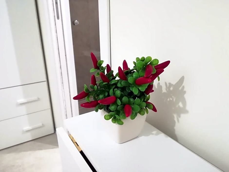 Guest House B&B Via Marina