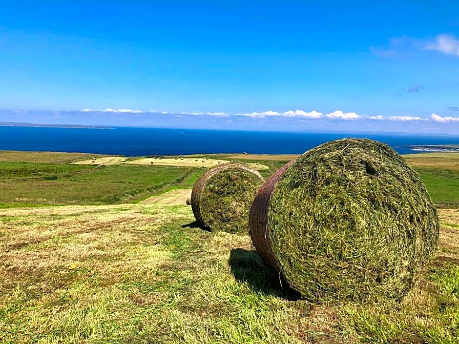 Ocean View Guestrooms