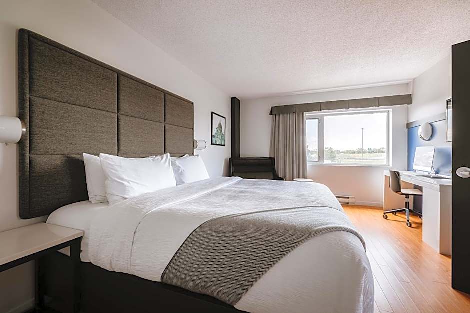 Le Dauphin MontrÃ©al-Longueuil