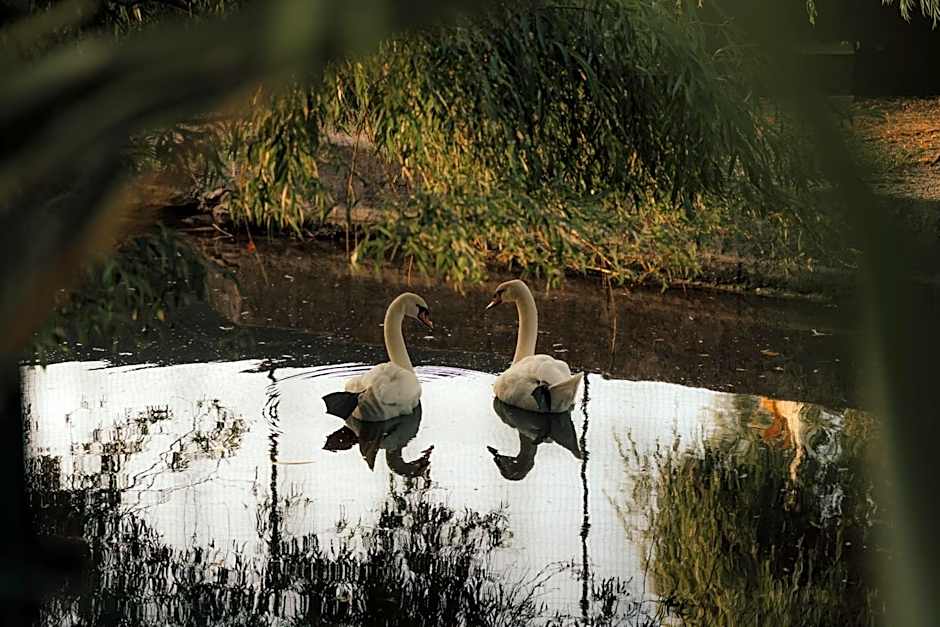 Quinta do Pinheiro Hotel E Eventos by Grupo Quinta dos Lagos