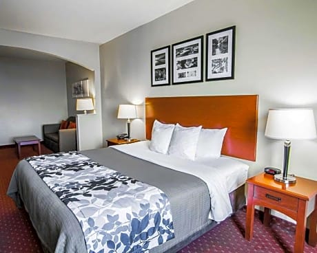 King Suite - Accessible/Non-Smoking