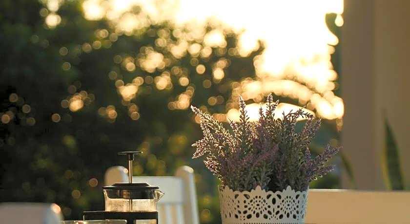 The Milkwood Beach Apartments