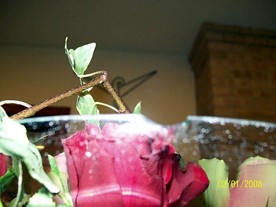 Hotel Ristorante Il Gambero