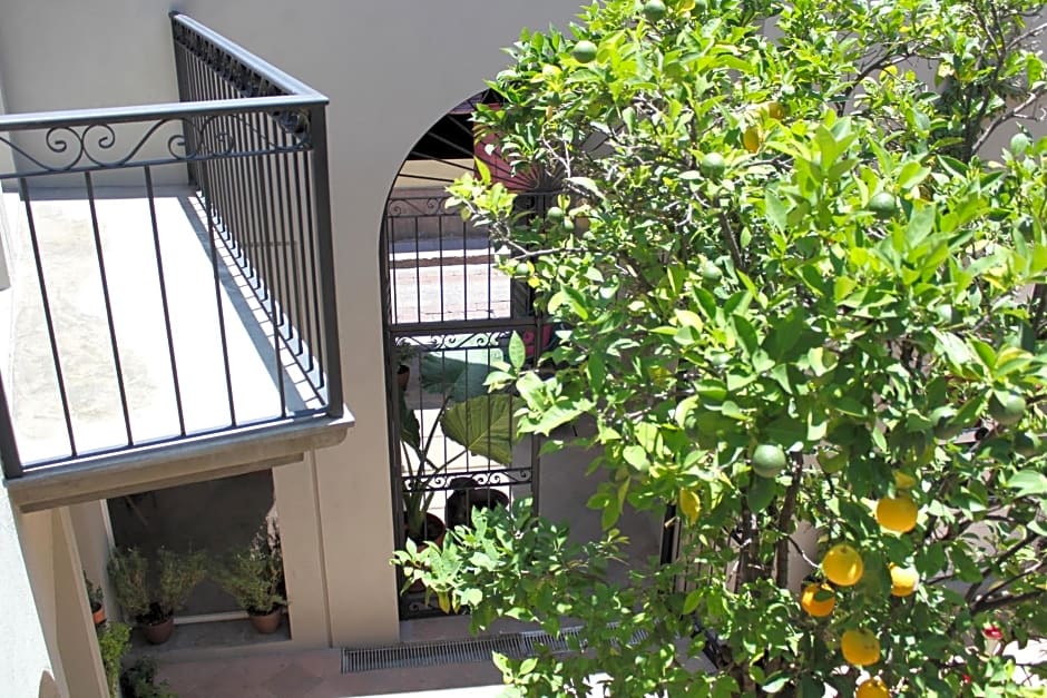 Hotel Mamá Carlota
