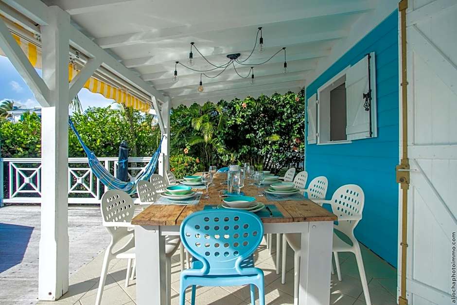 CAZA TURQUOIZ