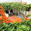 Casa Canario Hostel