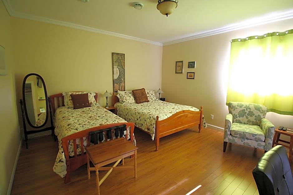 The Fiddle and the Sea Bed and Breakfast