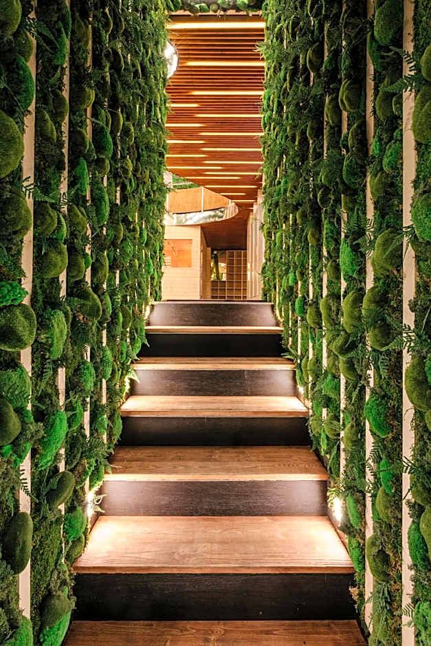 Wellness Rooms Central