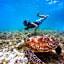 Noomoo Hulhumale