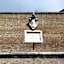 Vaticano84