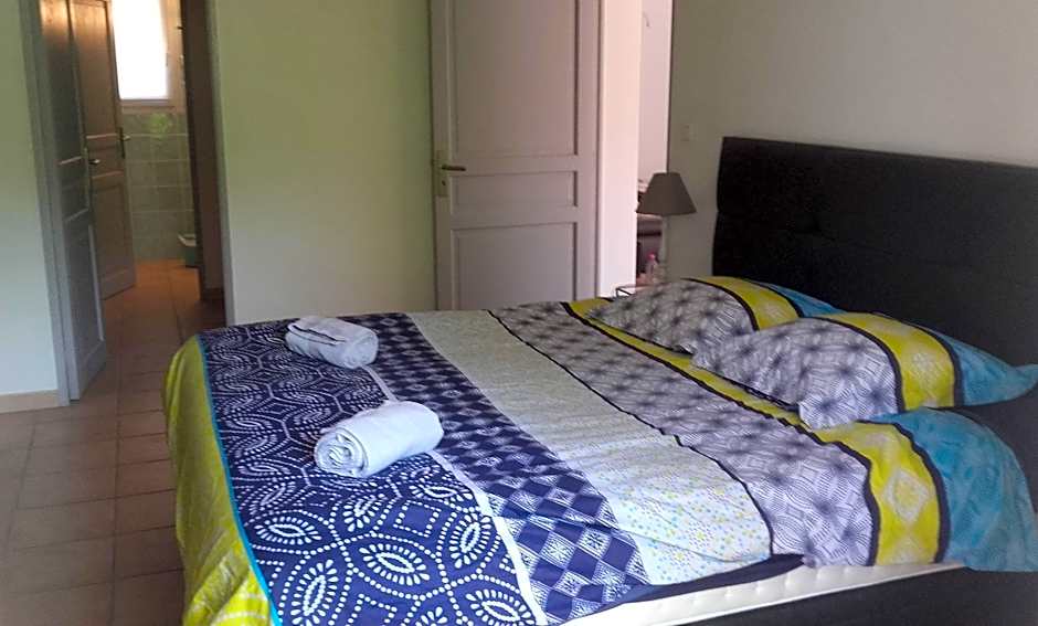 frederique lavande bleue