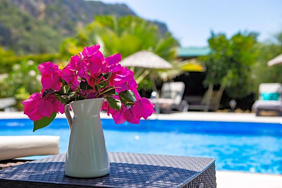 Portalimo Lodge Hotel - Adult Only +12