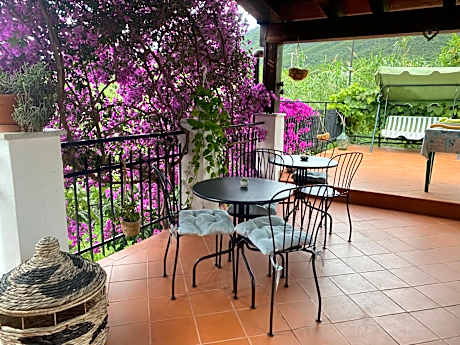 Villa Marco Aurelio
