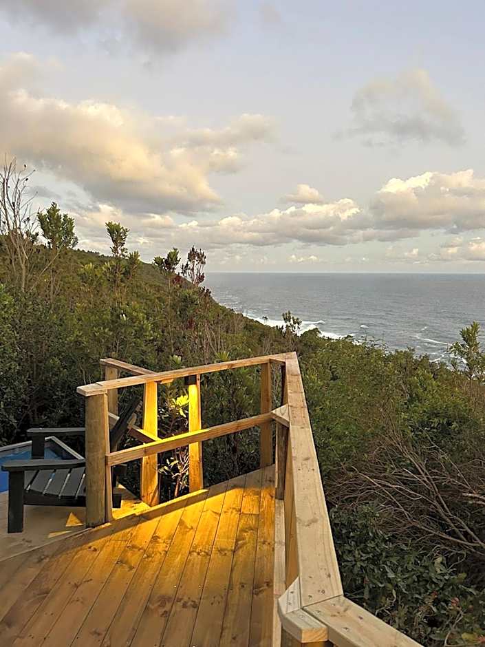 The Hive - Jungle at Misty Mountain Reserve