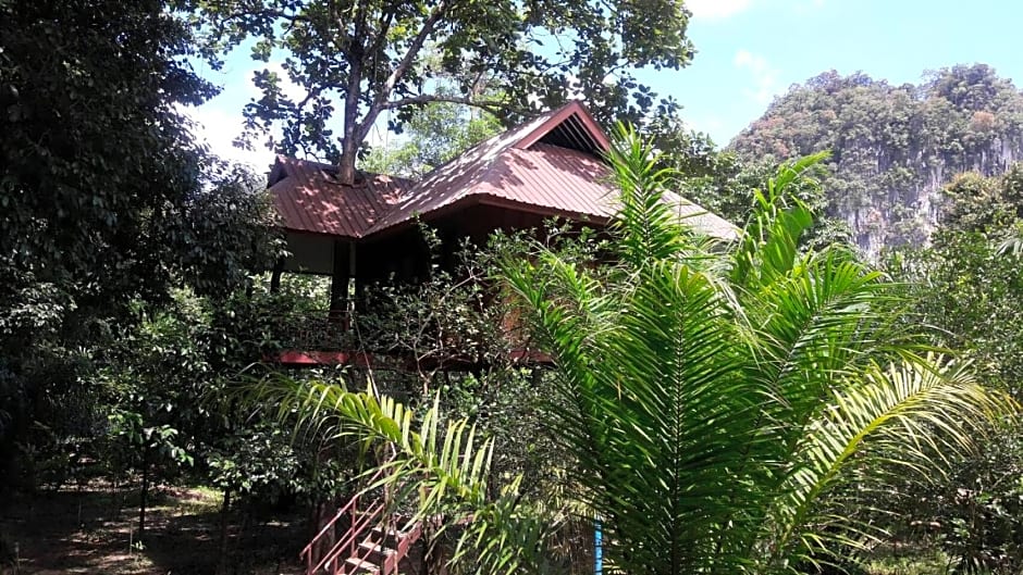 Baan Khao Sok Resort