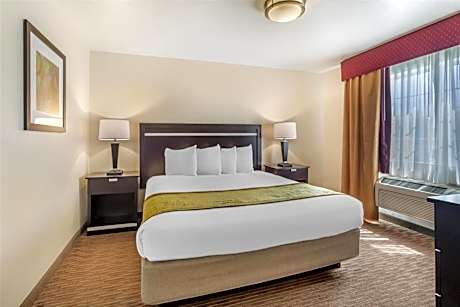 Two-Room King Suite with Sofa Bed, Balcony and Fireplace - Non-Smoking