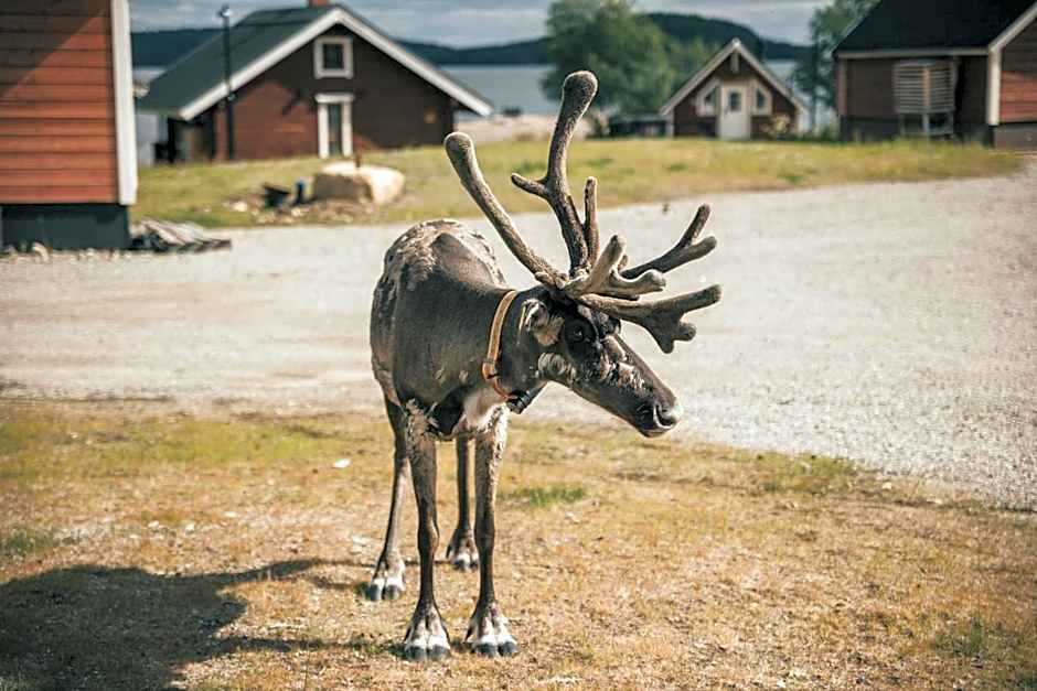 Holiday Village Inari