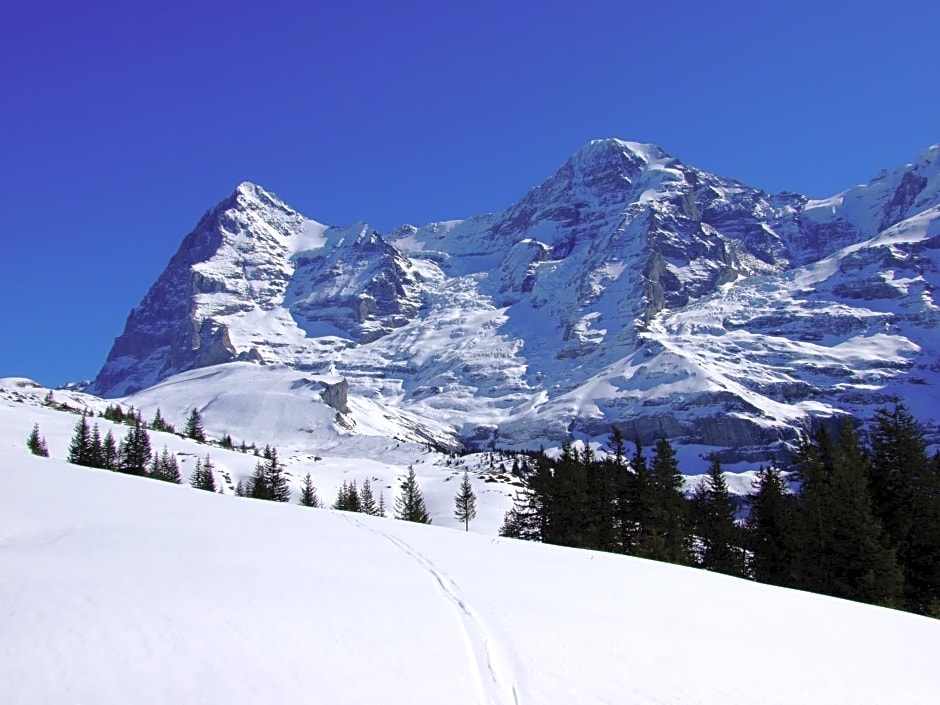 Hotel Bellevue-Wengen - Best view in town!